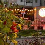 Urban Oasis Hostel