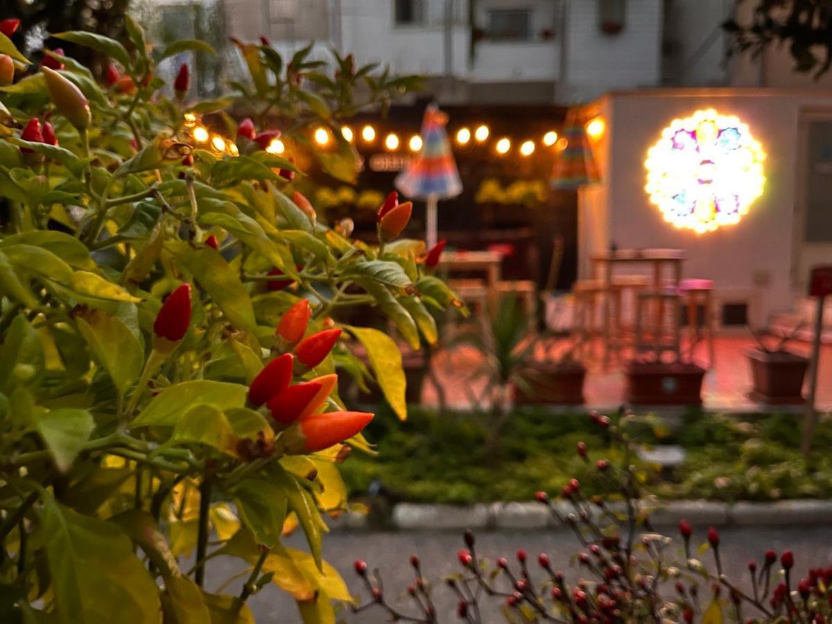 Urban Oasis Hostel