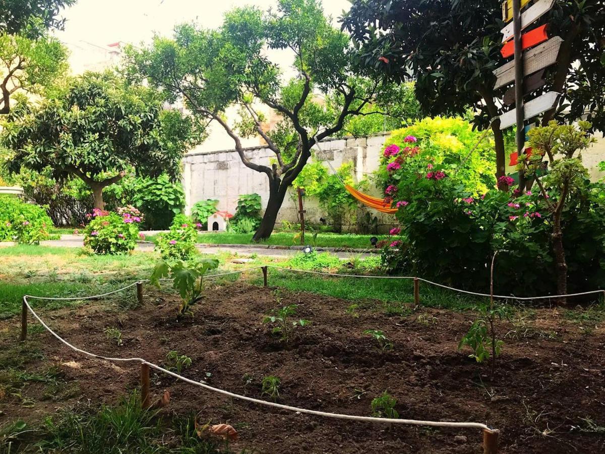 Urban Oasis Hostel *